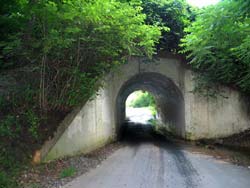 Bunnyman's Bridge